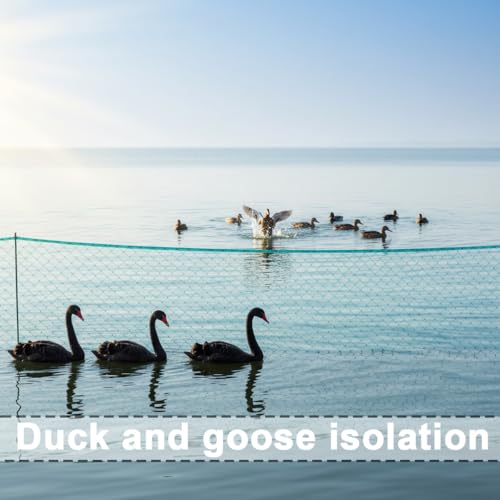 Garden Netting, 50' x 50' Heavy Duty Bird Netting Deer Fence Net, 1.6" Mesh Poultry Netting for Chicken Coop, Run & Garden, Protect Fruit Trees, Vegetables from Birds, Deer,Hawk, Squirrels - color: Green, size: 50' x 50' - 1.6"