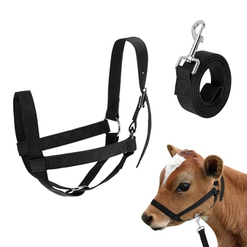 M METERXITY 1-Pack Adjustable Cattle Cow Calf Halter, 12.6"-18.9" Nylon Livestock Cow Halter with Leading Rope for Miniature Horse/Donkey/Goat/Cattle [Black] - color: Black, size: 12.6"-18.9"