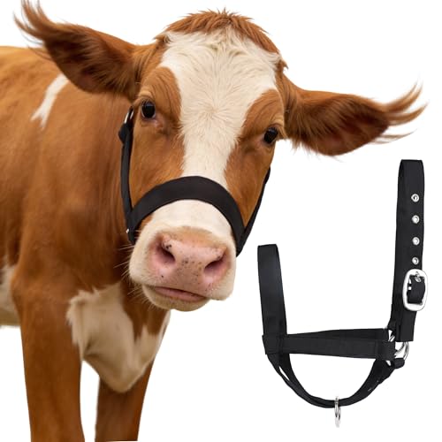 Adjustable Reinforced Nylon Calf Halter – All-Purpose, Durable Design for Cattle, Donkey, Goat, and Miniature Horse (Black, M) - color: Black, size: M( 650-1050lbs)