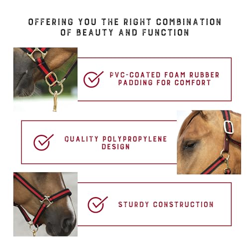 Weaver Equine Breakaway Horse Halter, Comfort Foam Padding, Adjustable Chin & Throat Snap Halters for Horses, Equine Tack,Average Size, Red