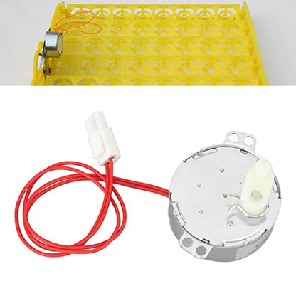 Egg Turnner Engine Replacement Egg Turner Motor 4W Turner Rotator Incubator for Chickens Ducks Goose Birds Egg (12v) - size: 12v