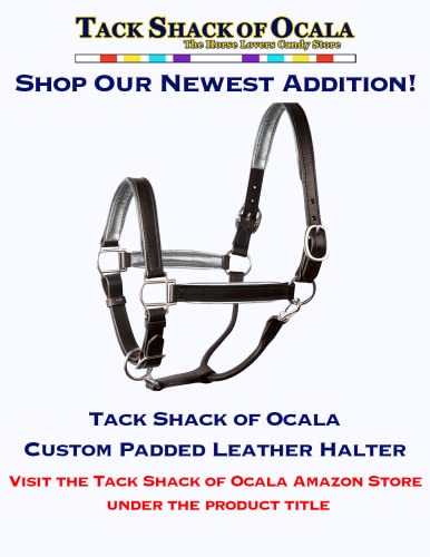 Tack Shack of Ocala Leather Halter for Horses with Customized Engraved Name Plate Option Halter for Horse | Brown/Brass, Black/Brass, Black/Chrome Options - size: Cob