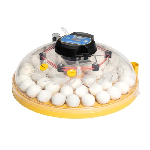 Brinsea Maxi 48 EX Egg Incubator with Automatic Humidity Control and Egg Turning for Hatching 48 Chicken, Duck, or Other Eggs, Optimal Flexibility with Mix & Match Sizes