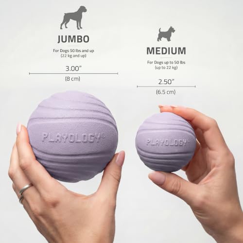 Playology Dog Toys | Dual Layer Ball Durable Chew Toy for Tough Chewers | Lamb Scented Jumbo Dog Toy | Chew Toys for Large Dogs - size: Jumbo, style: Lamb