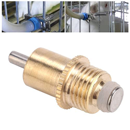 Watris Veiyi 20PCS Water Feeder for Poultry Pig Goat, Automatic Nipple Drinker, Leakproof Rodents Drinking Equipment, Metal Nipple Waterer for Farm Animal