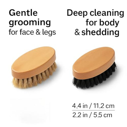 Goat Brushes for Grooming 2 Pack, Wooden Livestock Brush Set for Goats, Sheep, Calves, Horses, Dogs and Pigs, Soft Boar Bristle and Firm Nylon Body Brushes for Shedding, Face and Leg Care