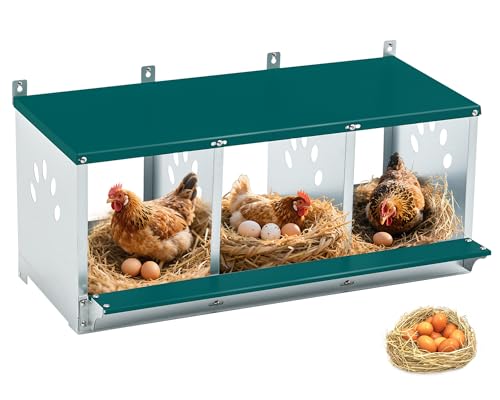 Yafylly Chicken Nesting Box for Laying Eggs, Metal Chicken Laying Boxes Wall Mountable, Easy Egg Collection Roll Away Nesting Boxes Chicken, Chicken Coop Nesting Boxes for Hens, 3 Compartments - color: Green, size: 3 Compartment
