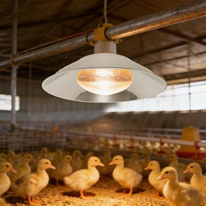 Reptile Heat Lamp Shade: Anti Scald Lampshade Heat-Resist Heating Light Guard - Metal Lighting Fixture for Reptile, Chicken, Pet Coop Enclosure
