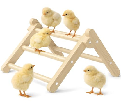 Innoland Chick Perch Foldable, Perch for Chicks Stable & No Assemble, Chick Roosting Perch for Stand Training, 11.02" × 9.84" × 6.10" Baby Chick Toys for Chicken Brooder | Coop (M) - size: 11.02" × 9.84" × 6.10"