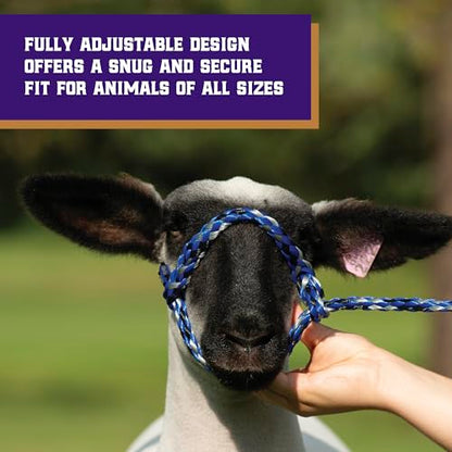 Weaver Livestock Poly Rope Sheep Halter, Modern Style Braid Sheep and Goat Rope Halter, Adjustable Lamb Halter Lead, Livestock Sheep Showing Supplies - color: Blue