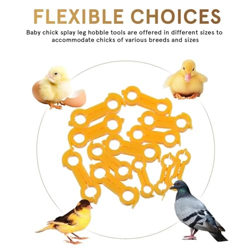 Chicken Leg Bands 60 Pcs Chicken Hobble Braces, Poultry Leg Bands, Baby Chick Hobbles, Slay Brace