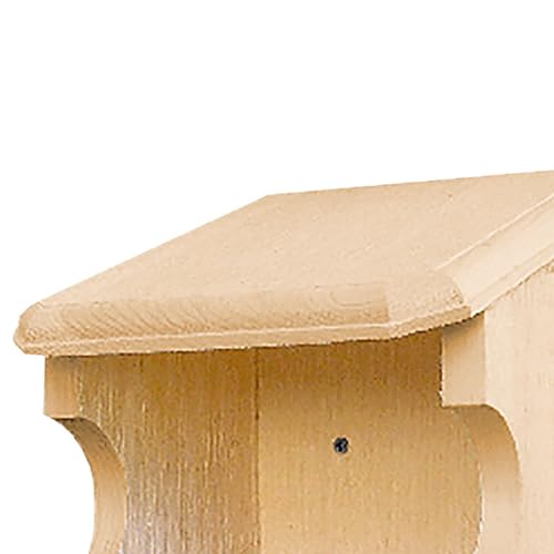 Nesting Perch Open-Front Birdhouse | Handcrafted from Sustainable Eastern White Pine | Easy Mount Under Eaves or on Building | Weather-Resistant Protection for Song Sparrows, Robins & More