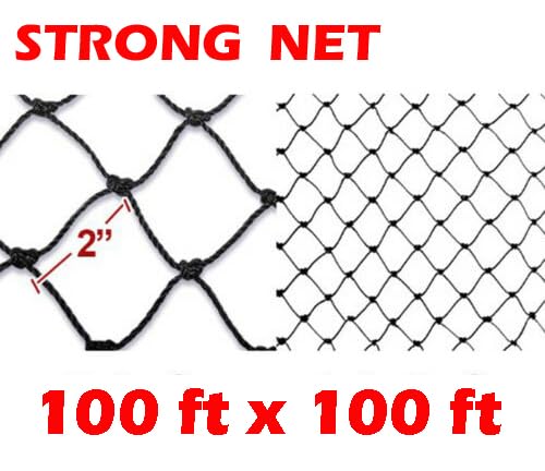 Strong All Season 100ft x100ft Net Long Lasting Netting for Bird Poultry Aviary Game Pens New 2" Square Mesh Size - size: 100ft x 100ft