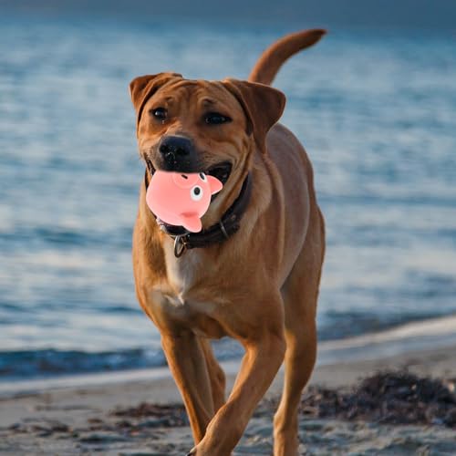jojofuny Squeaky Pig Head Dog for Puppies and Small Dogs Interactive Chew to Strengthen Mental Stimulation and Prevent Furniture Damage Tough for Heavy Chewers Pink Cartoon Design