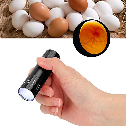 GLOGLOW Egg Candler, Egg Candling Lamp Incubator Tester Battery Operated Egg Torch Hatching Poultry Accessory(Not Battery Included)(Black)