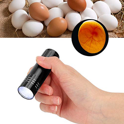 Egg Candler, Cool Light Portable Egg Candling Lamp with High Intensity Light for Chicken, Goose, Duck, Eggs, Incubation Learning (Red) (Blue (0.6mm Thickness)) (Black)