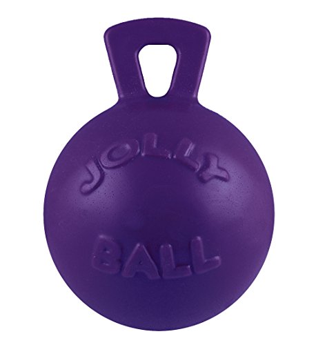 Jolly Pets Tug-n-Toss Heavy Duty Dog Toy Ball with Handle, 8 Inches/Large, Purple - color: Purple, size: Large (8 in)