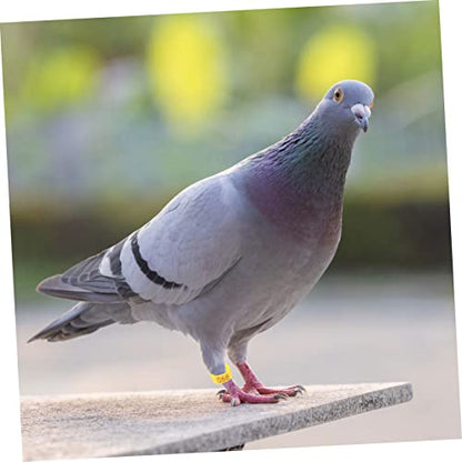 100pcs Bird Pigeons Leg Rings Poultry Leg Bands Meat Pigeon Anklet Easy Clip Rings - color: Yellow