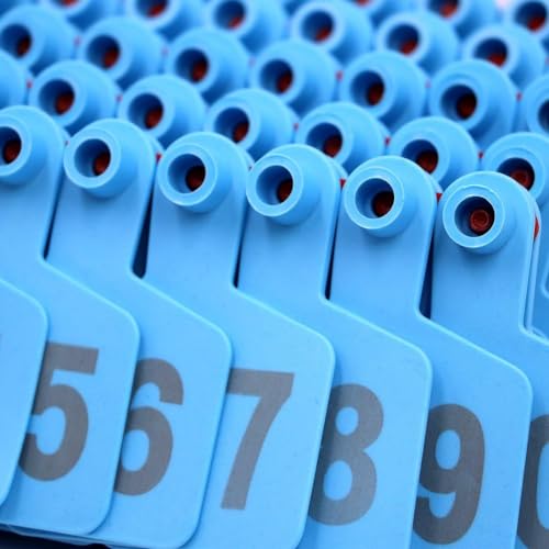 100pcs Livestock Ear Tags,001-100/101-200/201-300/301-400/401-500 Identification Numbered Animal Ear Tag Livestock Supplies for Cattle, Horse, Pig, Sheep - color: Navy, size: 401-500