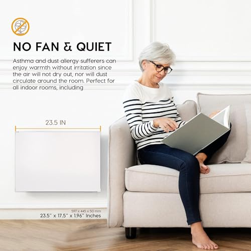 EconoHome Wall Mount Space Heater Panel with Heat Guard - 250 Watt Splashproof Convection Heater with Thermostat - Ideal for 100 Sqf Room or Bathroom - 120V Electric Heater - Updated Model - size: 250W