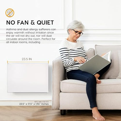 EconoHome Wall Mount Space Heater Panel with Heat Guard - 250 Watt Splashproof Convection Heater with Thermostat - Ideal for 100 Sqf Room or Bathroom - 120V Electric Heater - Updated Model - size: 250W