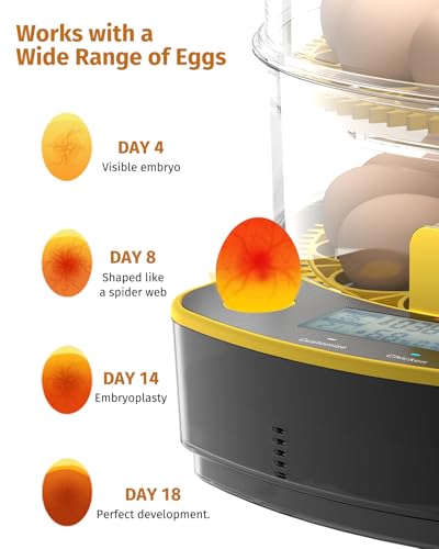 JUJOJB 48 Egg Incubator for Hatching Eggs, Double-Layer with Automatic Egg Turner, Temperature and Humidity Control, Egg Candler, Clear Window for Chicks Duck Quail Turkey Guinea Pheasant Parrot Eggs
