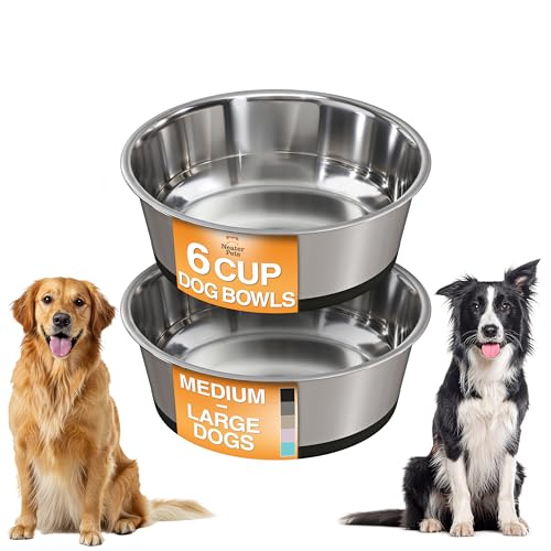 Neater Pet Brands Stainless Steel Dog Bowls with Non-Slip Rubber Bottom – Set of 2, 6 Cup (48 oz), Black - Heavy Duty Metal Dog Bowl, Dishwasher Safe, Food or Water Bowl, Ideal for Large Dogs - color: Black, size: 6 Cup (Set of 2)