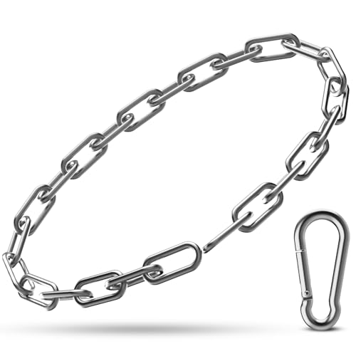 Gate Chain Lock, 23.6 Inch 304 Stainless Steel Chain Fence Gate Latch with Carabiner, Outdoor Hardware Lock Chain for Yards, Pet Cages, Horse Goat Dog Stall Barn and Fence Gates (Silver Dia 4mm-1Pc) - color: Silver Dia 4mm-1Pc