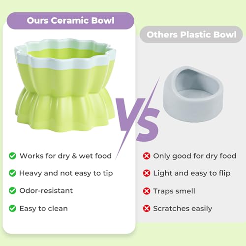 mini&moe Hamster Food Bowl - Ceramic Guinea Pig Bowl Anti-Turning Small Pet Food Feeding Dish for Rabbit Rat Gerbil Mouse Chinchilla - color: Green