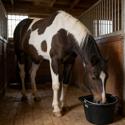 predolo Horse Feeder Feed Bucket Wear Resistant Sturdy PP Metal Ergonomic Handle Easy to Carry Suitable for Equestrian Stable Outdoor barn Livestock Care, Black - color: Black