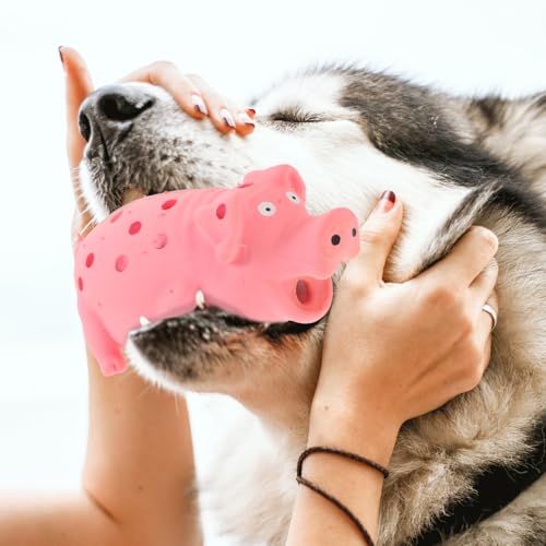 POPETPOP Squeaky Pig Dog Toy, Durable Dots Latex Chew Toy with Sound Squeaker for Small, Medium & Large Dogs Puppies Biting Chasing and Interactive Play (Pink)
