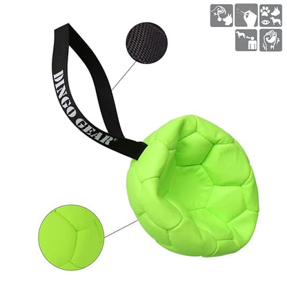 Dingo Gear Dog Ball and Pump Set, Faux Leather, Green 7in - color: Green Ball+Pump, size: 7"