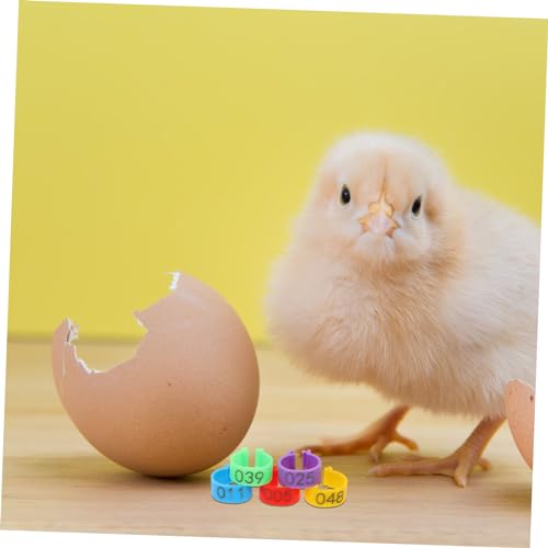 50pcs Poultry Leg Bands Durable Chicken Leg Rings for Easy Identification of Roosters Hens Lightweight Reusable Bright Colors for Marking Different Breeds