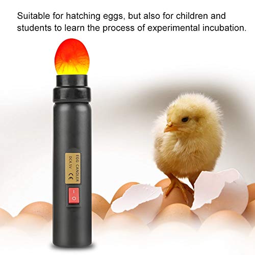 Egg Light, Battery Operated Egg Candling Tester Lamp Mini Lighting Incubator for Experiment Monitoring The Development of The Embryo Within The Egg
