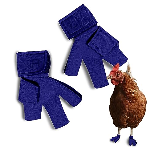 Chicken Shoes for Injured Feet – Protective Neoprene Footwear for Chicken, Open-Toe Design for Bumblefoot Relief, Made in USA - Standard, 3" Max. Inside Width, Royal Blue - color: Royal Blue, size: Standard Chickens, style: CHICKEN SHOES