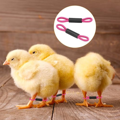 M METERXITY 50-Pack Adjustable Chick Leg Bands, 1.38" x 0.2" Polyester Chicken Leg Brace for Chicks/Ducks/Birds [Rose Red] Poultry Leg Bands - color: RoseRed