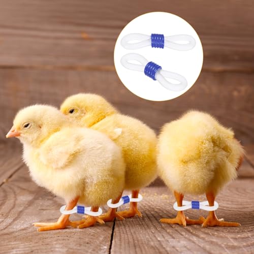 M METERXITY 100-Pack Adjustable Chick Leg Bands, 0.79" x 0.2" Silicone Chicken Leg Brace for Chicks/Ducks/Birds [Blue] Poultry Leg Bands - color: Blue