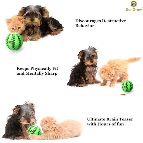 SunGrow Teething Treat Chew Ball for Rabbit, Ferret, Guinea Pig, Puppy, Kitten Tooth Clearing Puzzle Treat Dispenser, Aquarium Fish Bloodworm & Snack Holder, 2.75 inches