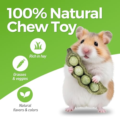 TEEWY Guinea Pig Toys, Prevent Teeth Overgrowth, Natural Vegetables and Timothy Grass, Hamster Chew Toys, Guinea Pig Chew Toys, Chinchilla Toys, 3PCS, Peapod-Shaped - style: 3PCS-Peapods