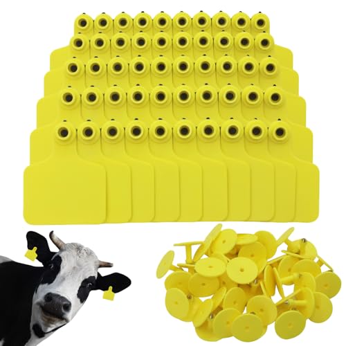 100PCS Identification TPU Precision Blank Cattle Ear Tags for Cattle Goats Sheep Pigs Hogs Calf Cows Tags Livestock (Yellow) - color: Yellow