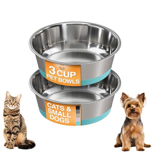 Neater Pet Brands Stainless Steel Dog Bowls with Non-Slip Rubber Bottom – 3 Cup (24 oz), Teal - Set of 2 Heavy Duty Metal Dog Bowls, Dishwasher Safe, Food or Water Bowl, Ideal for Small to Medium Dogs - color: Teal, size: 3 Cup (Set of 2)