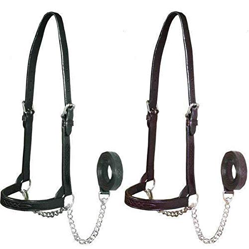 Derby Originals Premium Fancy Stitch Flat Leather Cattle Show Halter – Adjustable Fit with 48" Lead and 14" Chain, Small/Medium/Large – 1-Year Warranty - color: Havana, size: Small (350-700lbs)