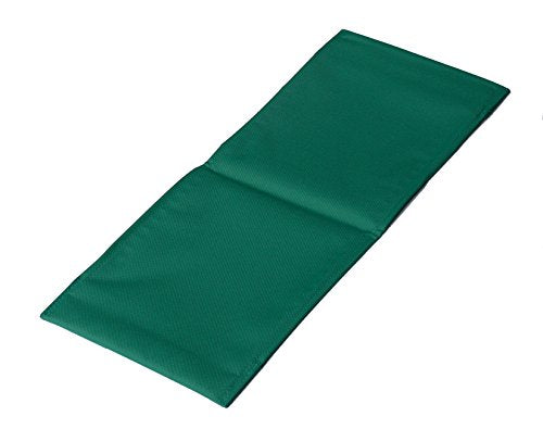 MidWest Homes for Pets Ramp Cover for Guinea Pig Habitat and Guinea Pig Habitat 'Plus' - color: Green, size: 18.5"L x 7.0"W x 0.3"H