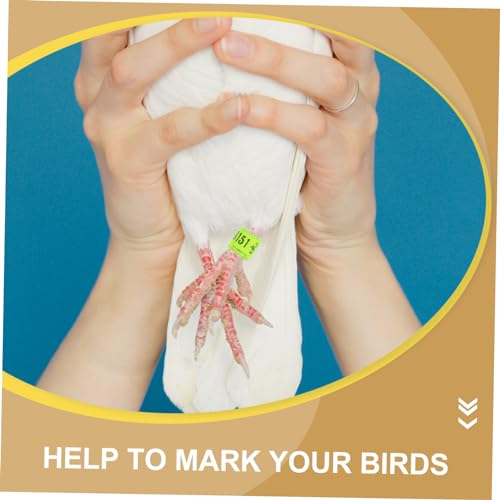 Abaodam 100pcs Pigeon Leg Bands Colorful Bird Foot Rings for Easy Identification of Racing Pigeons Chickens and Other Poultry Mixed Colors Random Styles