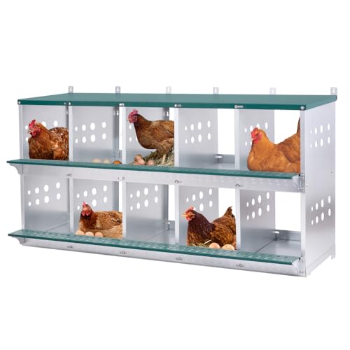 10-Bay Galvanized Steel Nesting Box for Chickens and Ducks, Wall-Mounted Poultry Laying Coop with Ventilation, Durable Rust-Resistant Design for Backyard Farms (10-Hole,Green) - color: 10-Hole,Green