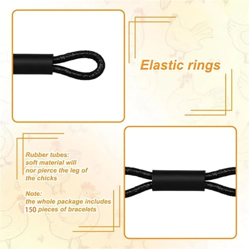 Chicken Leg Bands 600 Pcs Adjustable Chicken Leg Band, for Baby Chick 150 Pieces Hobble Braces, Poultry Spraddle for Newborn Chicks of 1 to 3 Days