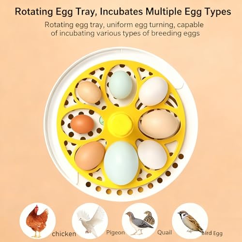 Tissting Egg Incubator with Manual Egg Turning & Humidity Control, Incubators for Hatching Eggs, Poultry Incubator for Chicken Duck Goose Quail Bird Eggs, for Kids (Manual)