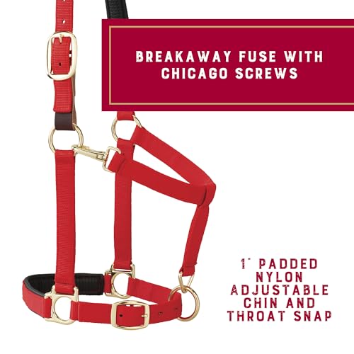 Weaver Equine Breakaway Horse Halter, Comfort Foam Padding, Adjustable Chin & Throat Snap Halters for Horses, Equine Tack,Average Size, Red