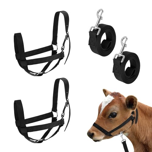 M METERXITY 2-Pack Adjustable Cattle Cow Calf Halter, 12.6"-18.9" Nylon Livestock Cow Halter with Leading Rope for Miniature Horse/Donkey/Goat/Cattle [Black]