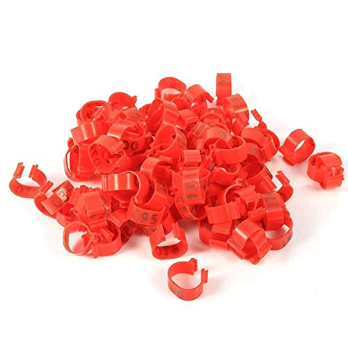 ETomey Bands Poultry Foot Rings,Identification Leg Bands, 100Pcs 16mm/20mm/25mm Poultry Chickens Ducks Goose Leg Bands Rings Clip-On Poultry Identification Band (Color : White, Size : 16mm) - color: White, size: 16mm
